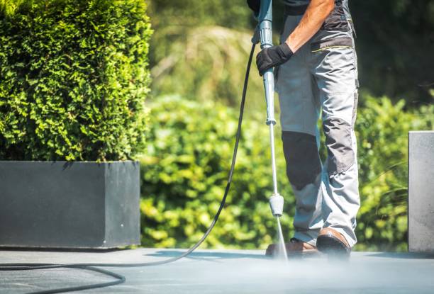 Best Roof Washing  in Oakland City, IN